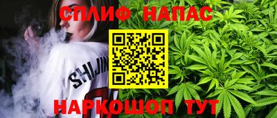 хмурый Тара