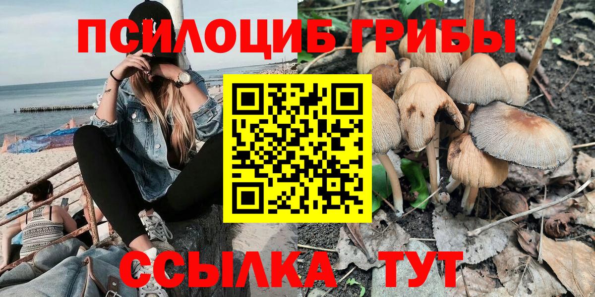 Галлюциногенные грибы мицелий  магазин    Удомля  Вход с VPN  Галлюциногенные грибы Psilocybine cubensis 